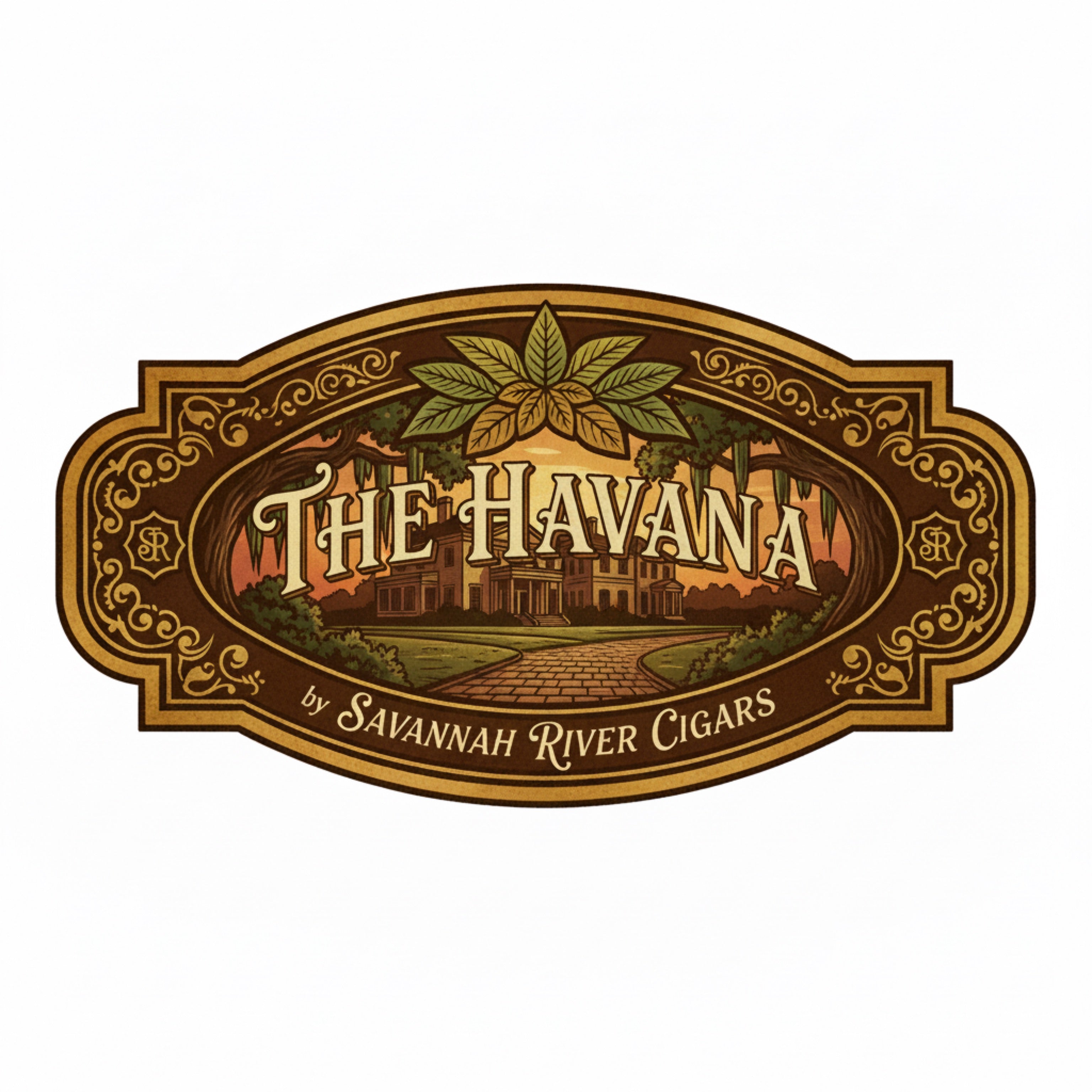 The HAVANA - 5 Pack
