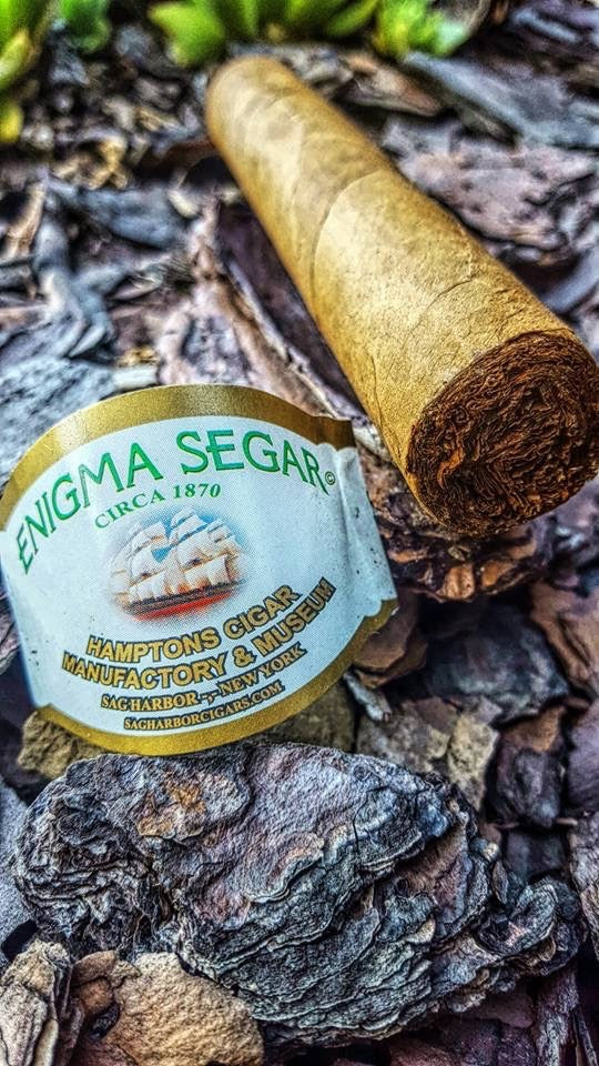 Enigma Segar - Pack of 20