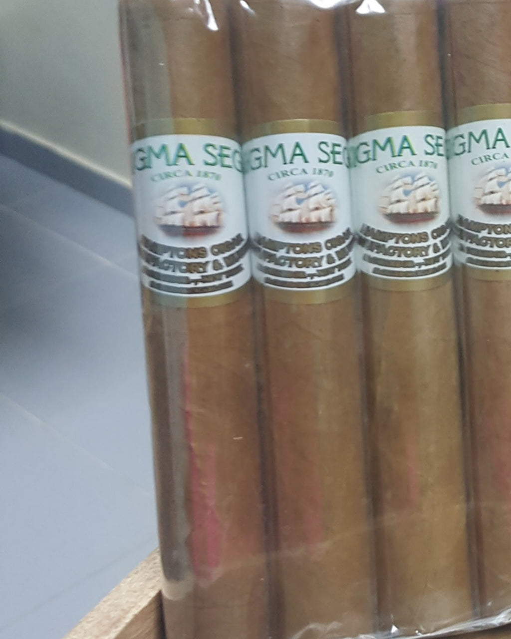 Enigma Segar - Pack of 20