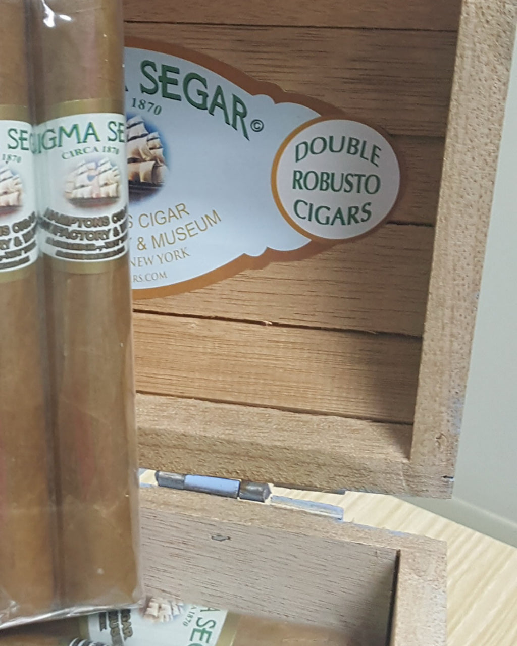 Enigma Segar - Pack of 20