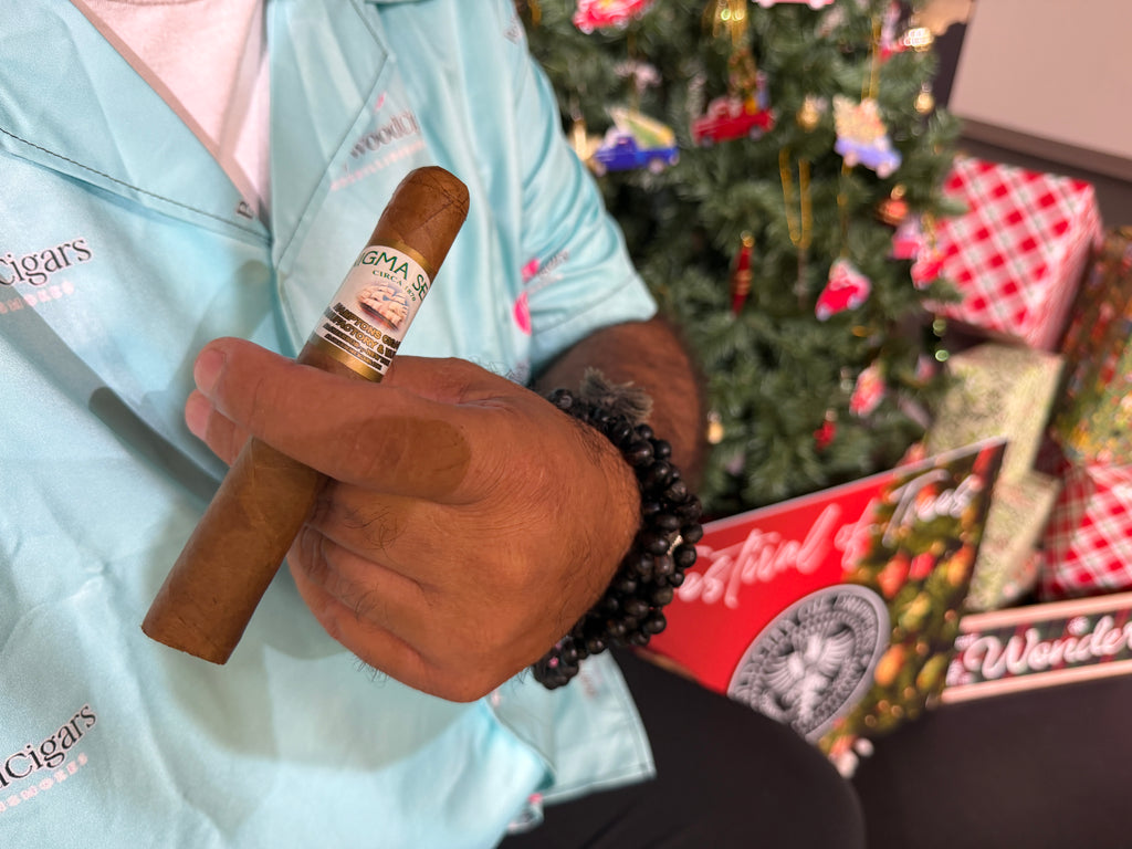 Enigma Segar - Pack of 20