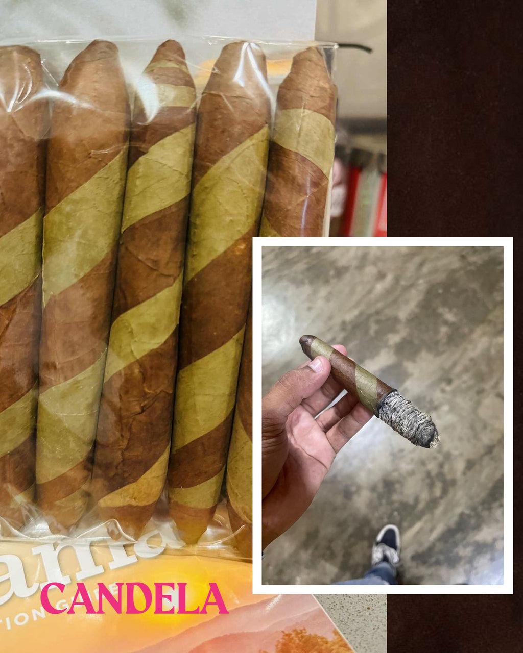 Investor Pack - Not for Resale