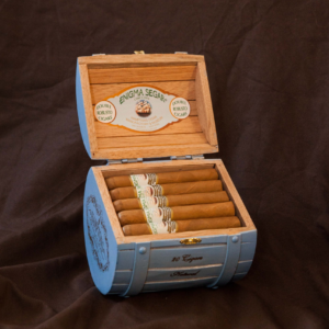 Enigma Segar - Pack of 20